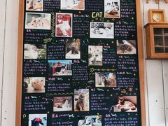 -小时光咖啡馆(开森度假森林店)