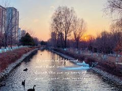 -长白岛森林公园