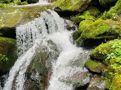 -藏龙百瀑风景区