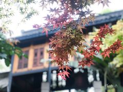 -鱼桥巷·美学川菜