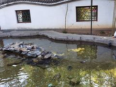 -红螺寺