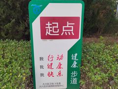 -大兴滨河森林公园