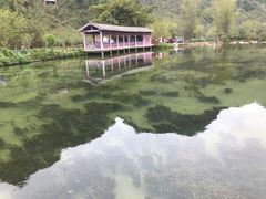 -靖西鹅泉风景区