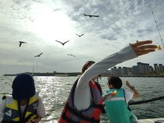 -拓恩帆船俱乐部