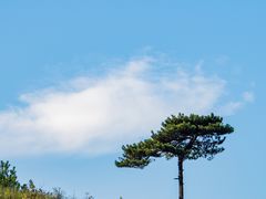 -萍乡武功山风景名胜区