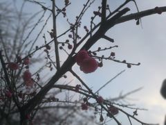 -绍兴启迪乔波冰雪世界