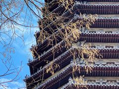 -玲珑塔公园