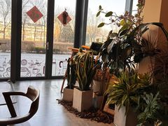 -Dinoo 片场咖啡(酒仙桥店)