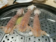 -海大大蒸汽海鲜餐厅·粤菜·特色小炒(欢乐颂店)
