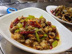 -小海丁