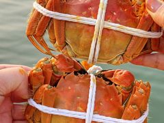 -品鲜村农家菜·阳澄湖大闸蟹(总店)