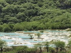 -黄龙山原始森林景区
