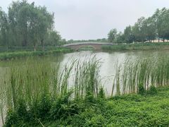 -东郊湿地公园