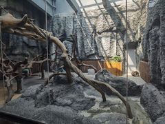 -武汉动物园