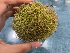 -南山竹海·珍味堂