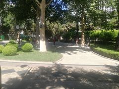 -团结湖公园