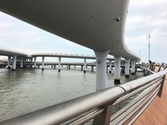 -演武大桥观景平台