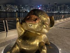 -星光大道