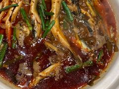 -樽宴酒楼·地道川菜·品质宴请