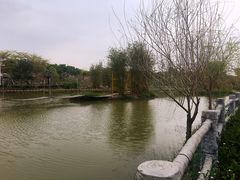 -天适樱花悠乐园