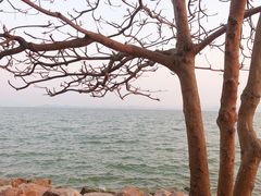-深圳湾公园(南山区)