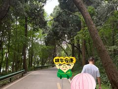 -金堂县云顶石城风景区