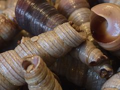 -荣家小吃(紫阳街店)