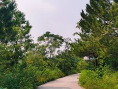 -府君山公园