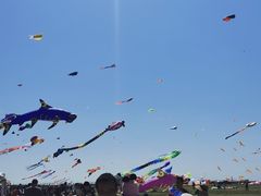 -潍坊滨海云门国际风筝放飞场