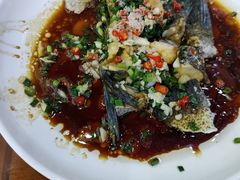 -全乐鱼馆·淳牌有机鱼直营店