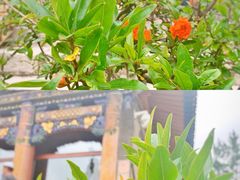 -西宁市东关清真大寺