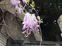 -汇龙潭