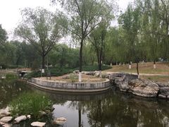 -太阳宫公园