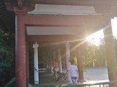 -洛阳市隋唐城遗址植物园