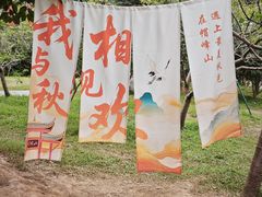 -广州市帽峰山景区