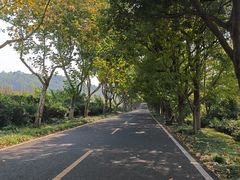 -宜兴龙背山森林公园