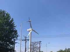 -长白岛森林公园