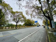 -上海之巅观光厅