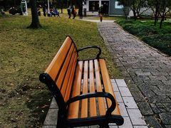 -新虹桥中心花园