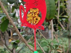 -晓港公园