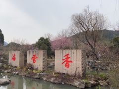 -香雪海