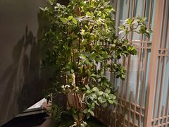-鹤祥宫·影院足道·SPA连锁(苹果园店)