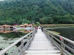 -腾冲北海湿地