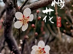 -大宁公园