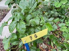-黄兴公园