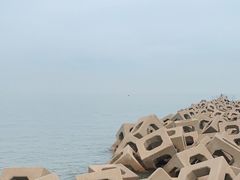 -东疆建设开发纪念公园