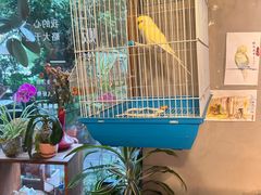 -时光花园(白鹭洲店)