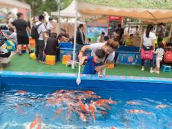 -萌宠亲子动物乐园(槐房万达店)