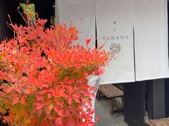 -鯛匠 HANANA