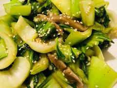 白菜香菇-熊猫川菜馆 panda chine